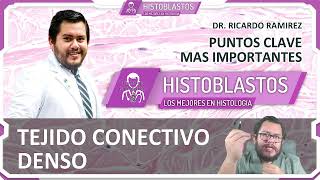 HISTOLOGIA  TEJIDO CONECTIVO DENSO [upl. by Gershon]