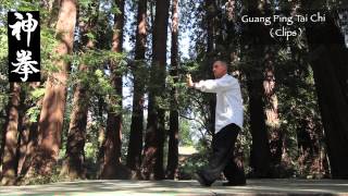 Guang Ping Tai Chi Clips [upl. by Haidebez]