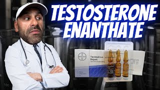 STEROID PROFILE  TESTOSTERONE ENANTHATE  THE KING [upl. by Ahsiemaj]