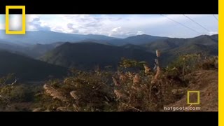 Dying Languages  National Geographic [upl. by Beller986]