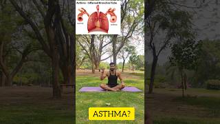 yoga for asthma problem asthma cure shorts yoga yogalife fitnessexplore ytshortsvideoforyou [upl. by Attaynik]