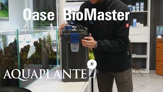 Filtre externe Oase BioMaster avec ou sans chauffage intégré chez Aquaplante [upl. by Yrtneg]