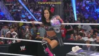 AJ Lee vs Natalya SmackDown June 28th 2013 HD [upl. by Curcio]