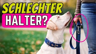 7 Irrtümer die aus einem guten Hundehalter einen schlechten machen 🤯 [upl. by Moazami847]