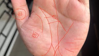 You Will Be Very Wealthy If You Have Hands Like This A MustWatch Video [upl. by Kealey]