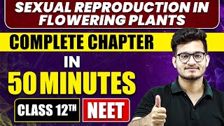 SEXUAL REPRODUCTION IN FLOWERING PLANTS in 50 Minutes  Full Chapter Revision  Class 12th NEET [upl. by Aleemaj]