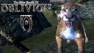 The Elder Scrolls Oblivion  Cougar Attack Part 59 [upl. by Heady]