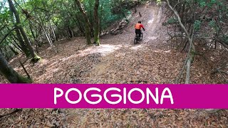 MTB Roveta 28102023 sentiero POGGIONA [upl. by Aroz]