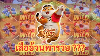 1 เกมส์ 1 เท่า  Fortune Tiger PG  เสืออ้วนพารวย  EP21 [upl. by Primalia100]