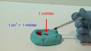 The cubic centimeter and the milliliter [upl. by Kciredohr]