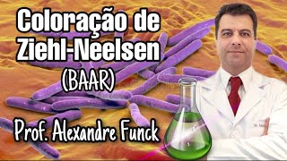 COLORAÇÃO DE ZIEHLNEELSEN BAAR  PROF ALEXANDRE FUNCK [upl. by Ettelracs]