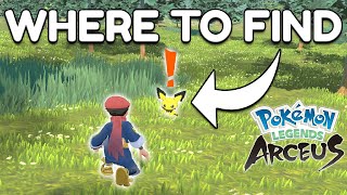 Where to find Pichu early in Pokemon Legends Arceus [upl. by Aimac]