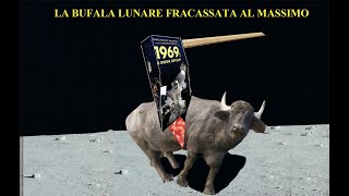 LA BUFALA LUNARE FRACASSATA AL MASSIMO [upl. by Ecinaj747]