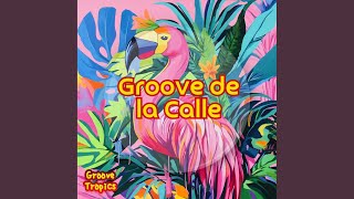 Groove De La Calle [upl. by Doownel814]