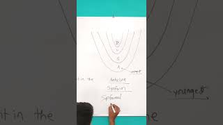 Antiform or Anticline 🧐🤔🤔🤔 [upl. by Selima]