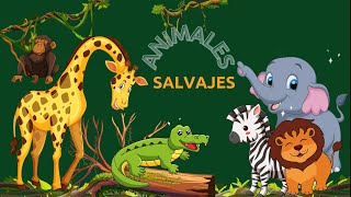 Animales salvajes para niños  Con sonidos Video educativo [upl. by Aihselat711]