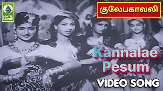 Kannalae Pesum Video Song  Gulebakavali Movie Songs  M G Ramachandran T R Rajakumari [upl. by Natsreik937]