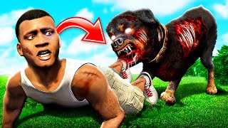 CHOP frisst mich auf in GTA 5😱🐶 [upl. by Wilde81]