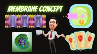 Concept of Cell Membrane I Fluid Mosaic Model I Membrane Components I Cell the Unit of Life I 11th [upl. by Enelrahc]