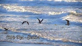 Chris Rea  Seabird [upl. by Fisoi]