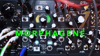 Make Noise MORPHAGENE  Tutorial uff Deutsch Teil 1 [upl. by Lebama]