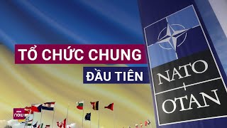 Ukraine và NATO đang tiến tới thành lập tổ chức chung đầu tiên Tín hiệu gì được gửi đi  VTC Now [upl. by Annette13]