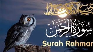 surah rahman emotional recitation  سورة الرحمن  surah rahman ki tilawat  surahrahman fast tilawat [upl. by Ro]