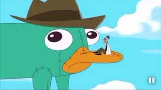 The Best quotA Platypus PERRY THE PLATYPUSquot Compilation [upl. by Khalid]