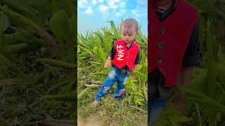 Nache padto chindi rayfal ke khet parayanshpatel cutebaby youtubeshorts [upl. by Kcirdnekal]