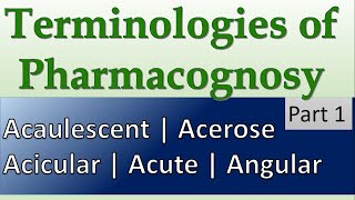 Acaulescent  Acerose  Acicular  Acute  Angular  Terminology in Pharmacognosy [upl. by Eitnom112]