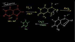 Synthesis of Xanthine Pyrimidine and Purine Bases [upl. by Nnahgiel]