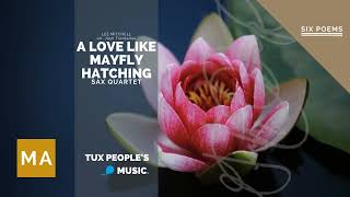 A love like mayfly hatching Sax Quartet  Lee MitchellArr Josh Trentadue [upl. by Bianca]