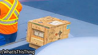 rWhatIsThisThing  Cursed Object In A Crate [upl. by Anisamot468]