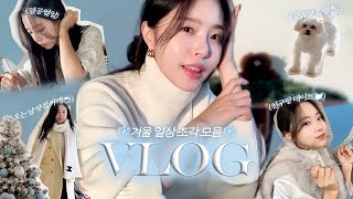 ❄️vlog 추워도 괜찮아 청춘이야 솔이 연말 브이로그 I 아이패드 샀어요 할리스 바닐라딜라이트 입문 연말 콘서트 새해다짐 [upl. by Lilian]