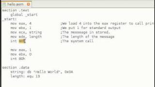 Assembly Language Tutorial 11 Making System Calls [upl. by Yenot]