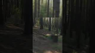 Noxon HighSpeed Cablecam  Mountain Biking Demo [upl. by Eramat307]