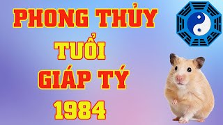 Phong Thủy Tuổi Giáp Tý 1984 [upl. by Mehta]