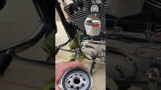 Harley Davidson Sportster 1200 Oil Change shorts [upl. by Kawai178]