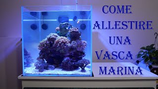 Come allestire un acquario marino [upl. by Corabella]