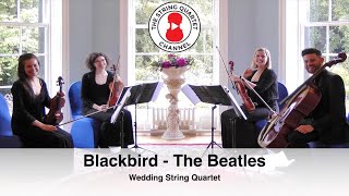 Blackbird The Beatles Wedding String Quartet [upl. by Daryn6]