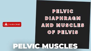 Pelvic Diaphragm and muscles of pelvic wall  Clinicals correlation bd snells [upl. by Lukash]