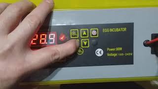 HOW TO USE A 48 EGG INCUBATOR [upl. by Templas387]