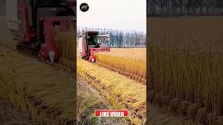 Mini harvester in India yanmar harvester shorts [upl. by Seavey]