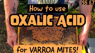 EVERYTHING You Need To Know About Oxalic Acid  HOW To Use It  Beekeeping 101 beekeeping [upl. by Noit]