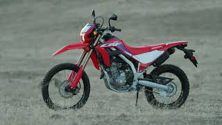 CRF300L VS DRZ400 VS CRF450L  Which one is right for you [upl. by Okoyik388]