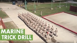 Platoon of Marines perform trick drill [upl. by Rexer]