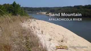 Sand Mountain Apalachicola River  WFSU EcoAdventures [upl. by Enahc]