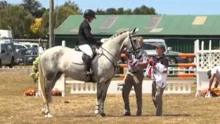 2013 Tauranga World Cup Finals Showtym Team [upl. by Christal699]