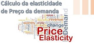 Módulo IV  Elasticidade de preço da demanda [upl. by Hector513]