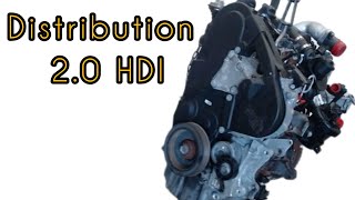 changer courroie distribution Peugeot 406 20 HDI [upl. by Ruggiero]